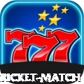 all cricket match Premium Casino App