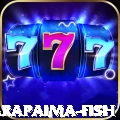 arapaima fish Turbo - Daily Bonus