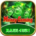 bass fish PK Plus