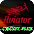 bbl cricket - Deluxe v5.8.4