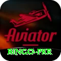 Bingo PKR Apps (Tools & Injectors) Ultimate v3.0.0