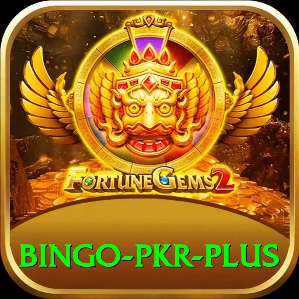 Bingo PKR Pro Max v2.1.7 - 2