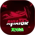 bn55 Premium Edition v3.7.0