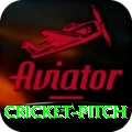 cricket pitch - Gaming Royal
