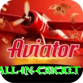 fastest ball in cricket Legend Latest v1.2.5