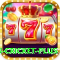 fastest ball in cricket Master - Free Download