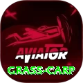 grass carp Extreme Gaming App