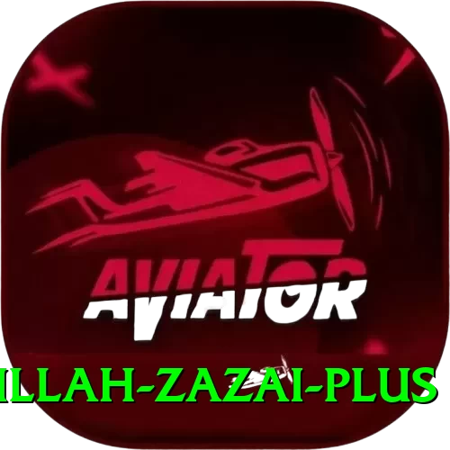hazratullah zazai Max Casino App - 2