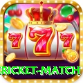 international cricket match APK Premium v3.3.4