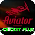 international cricket Slot Machine Mega