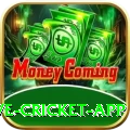 live cricket app Plus - Win Real PKR