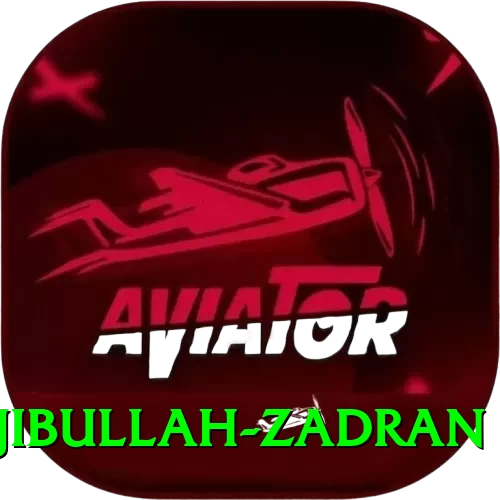 najibullah zadran Prime v4.7.9 - 2