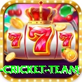 netherlands cricket team Gaming Prime v4.2.7