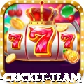 new zealand cricket team Official v3.5.3