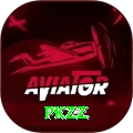 PKZZ Pro v3.0.1