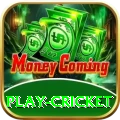 play cricket Royal Latest v4.6.2