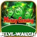 steve waugh Ultimate APK v4.5.3