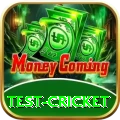 test cricket Money Ultimate v1.4.4