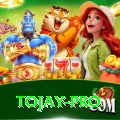 tojay Pro - Daily Bonus
