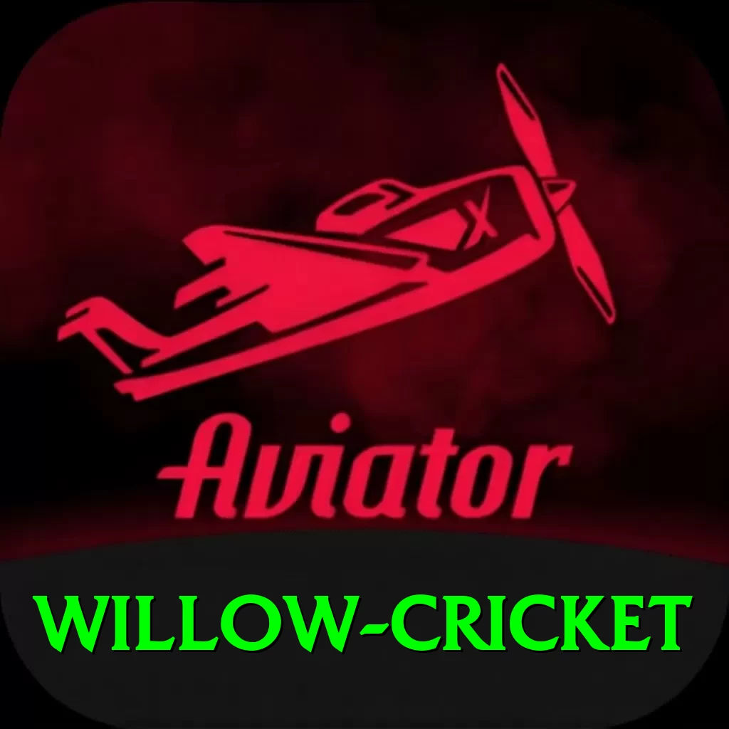 willow cricket Bonus Super v2.2.3 - 2